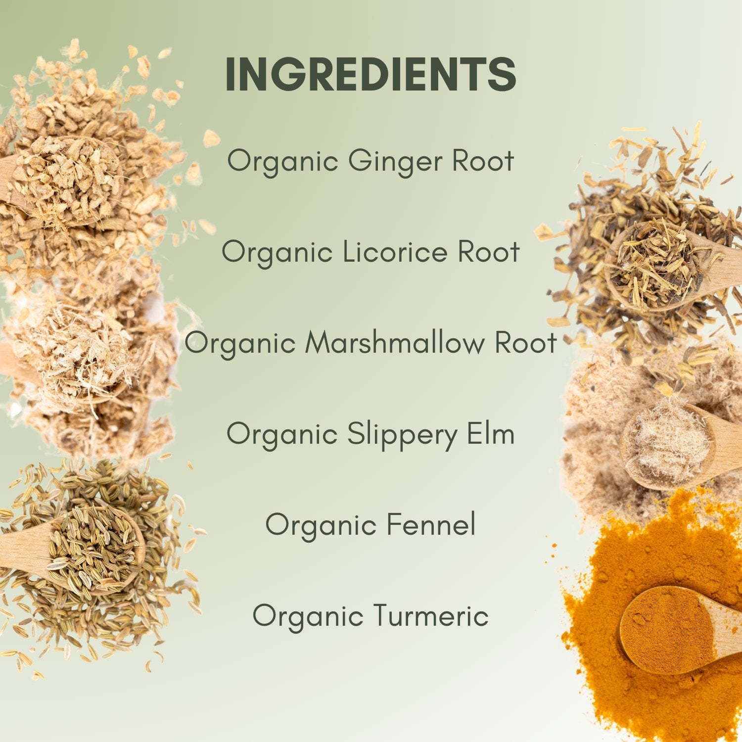 Organic Heartburn Relief Tea