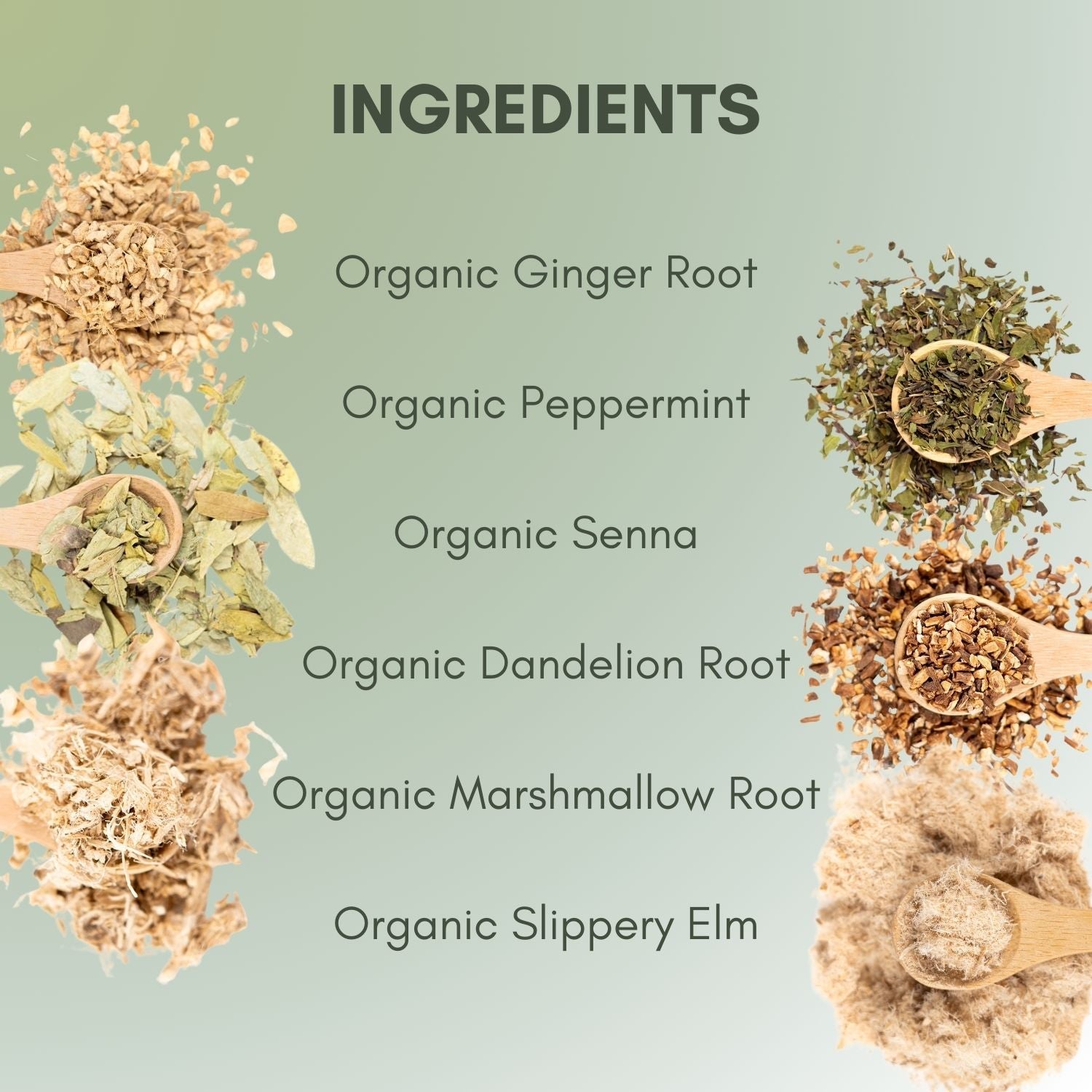 Organic Constipation Relief Tea