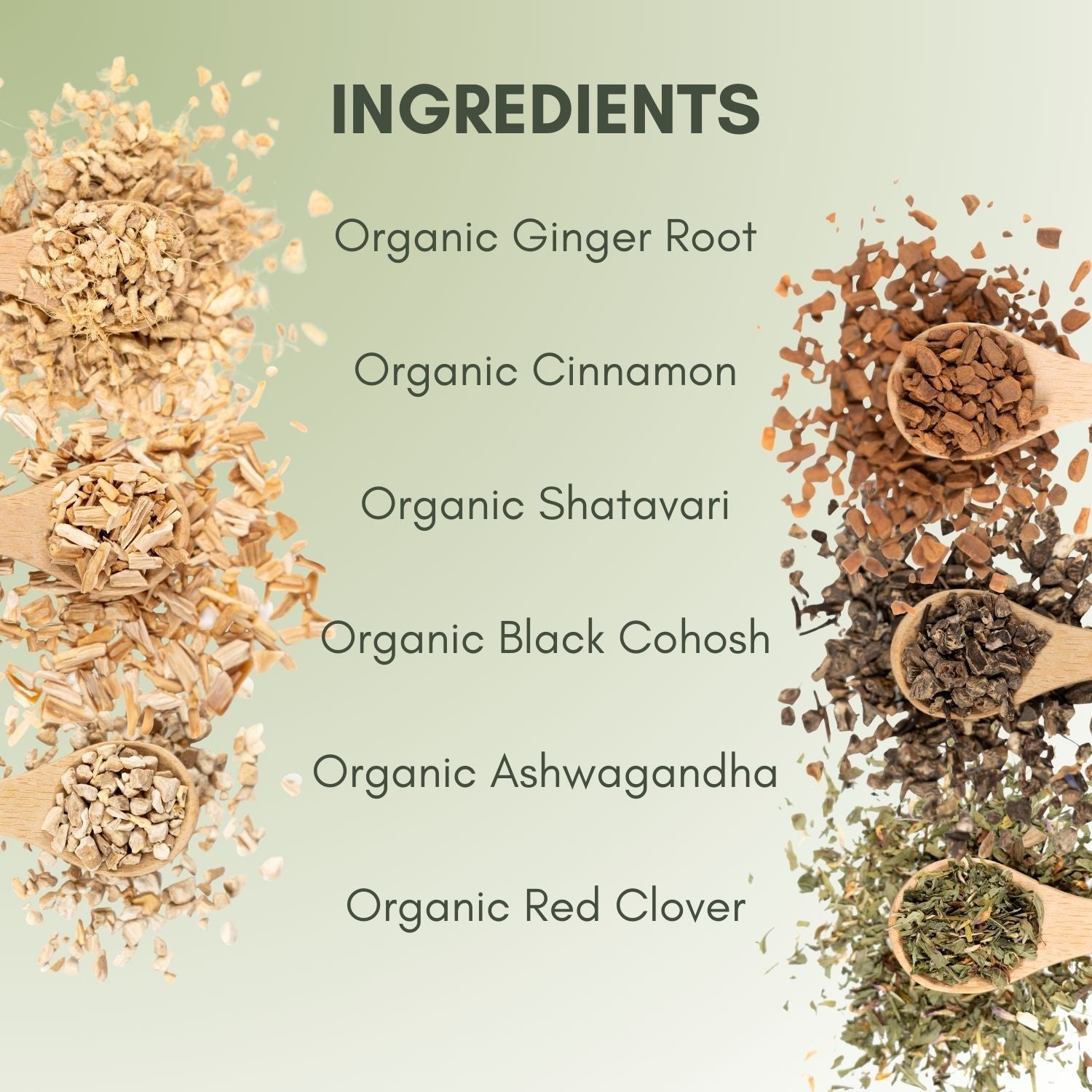 Organic Fertility Tea