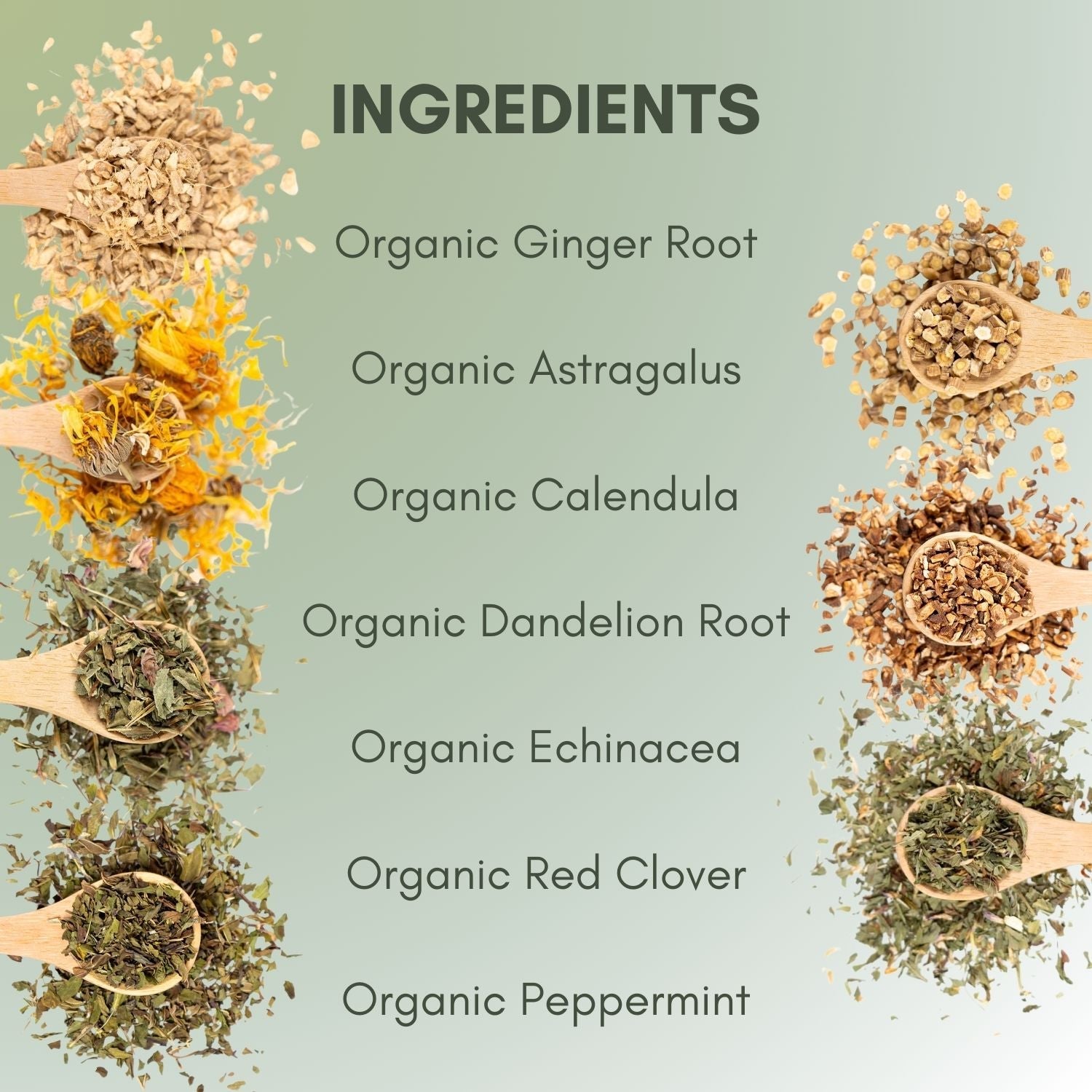 Organic Lymphatic Cleanse