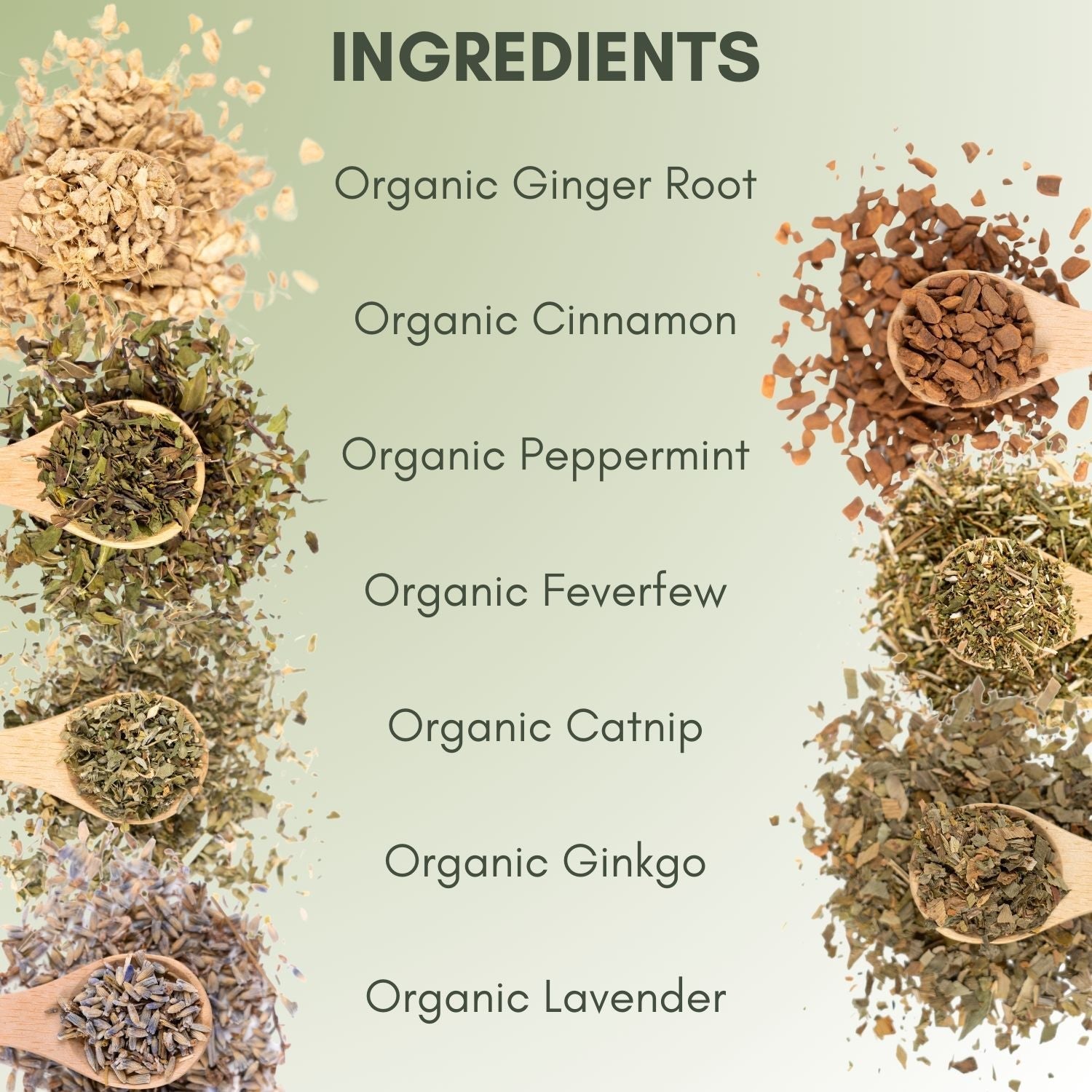 Organic Migraine Relief Tea